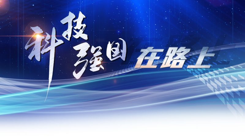 云服务器与物理机：价格背后的性能与成本考量